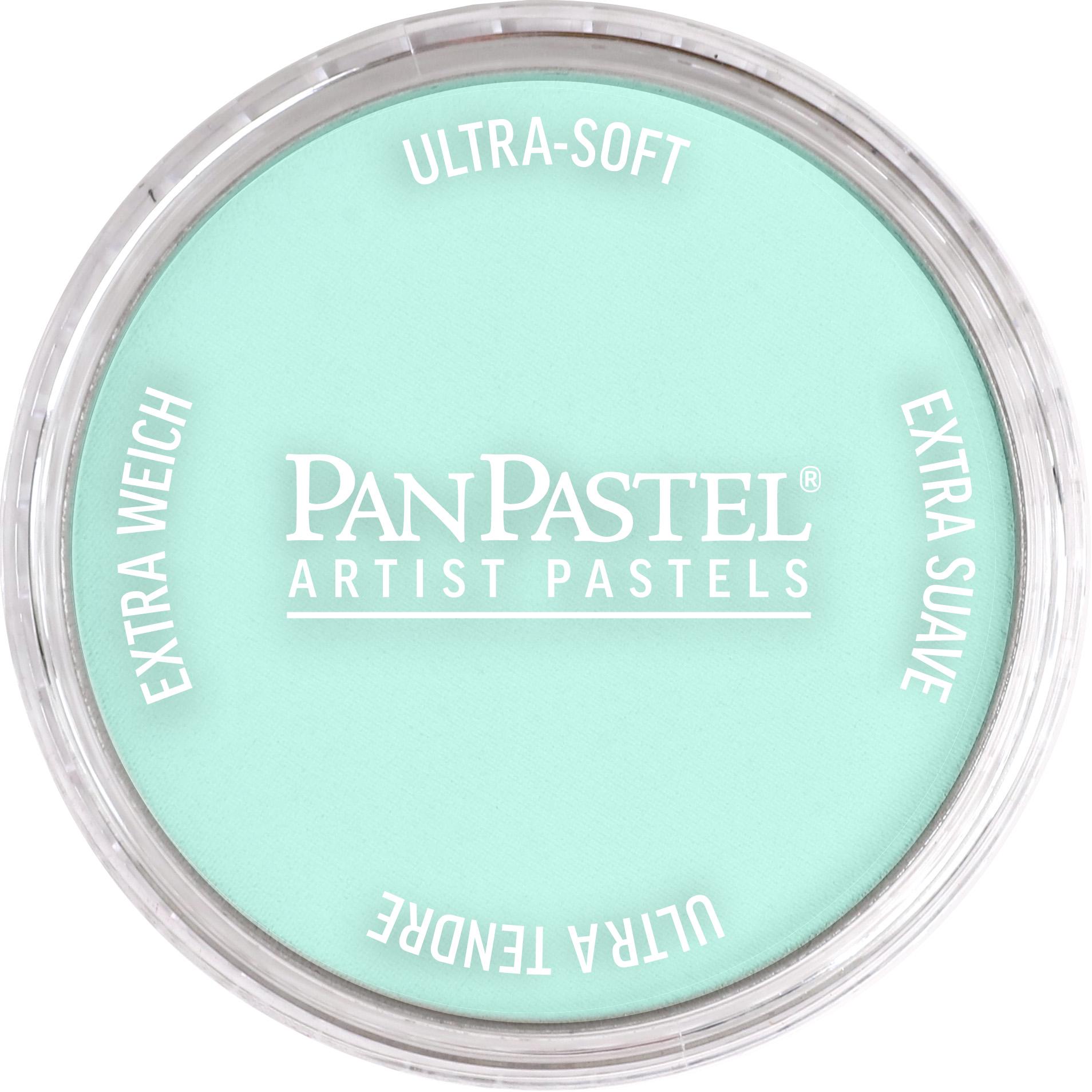 Пастель художня PanPastel 620.8 Phthalo Green Tint 9 мл (28769462)