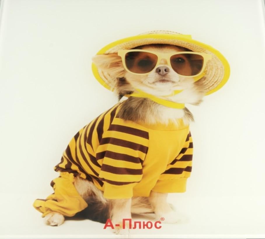 Весы напольные электронные 1677 Пляжная собачка с подсветкой экрана до 180 кг (AWN-00362) Весы напольные электронные 1677 Пляжная собачка с подсветкой экрана до 180 кг (AWN-00362)