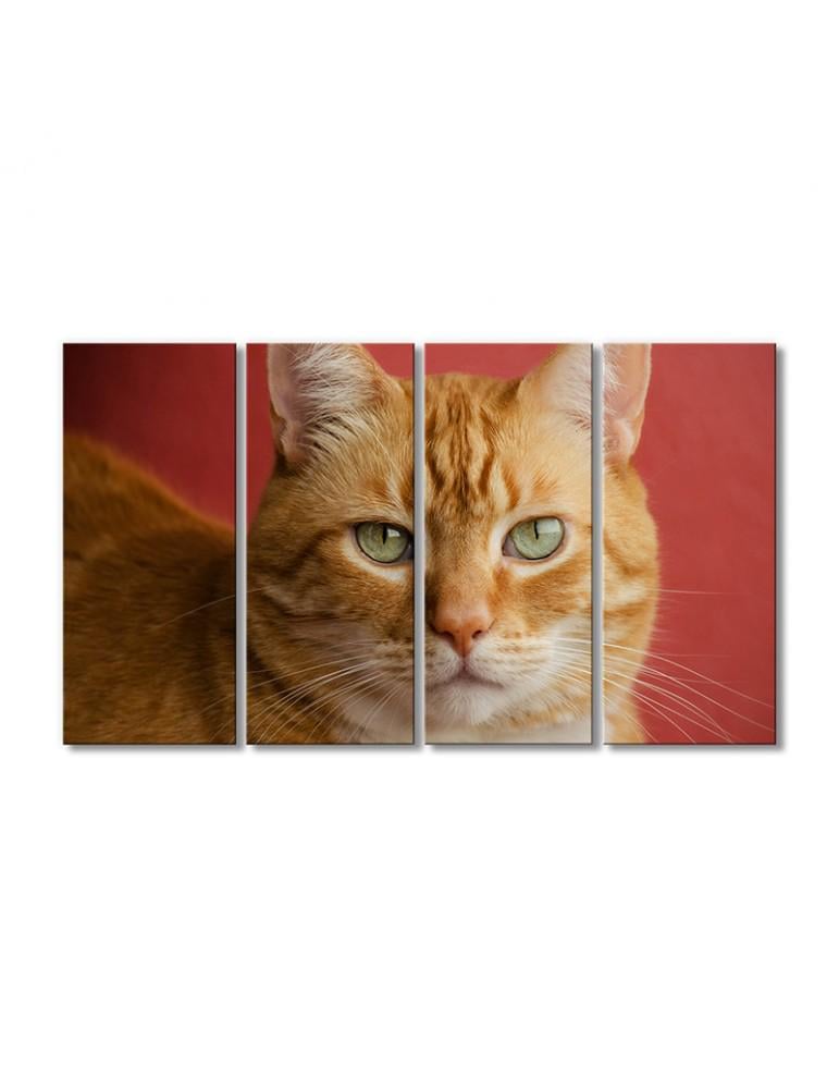 Картина модульная Рыжая кошка 4 модуля 60x90 см