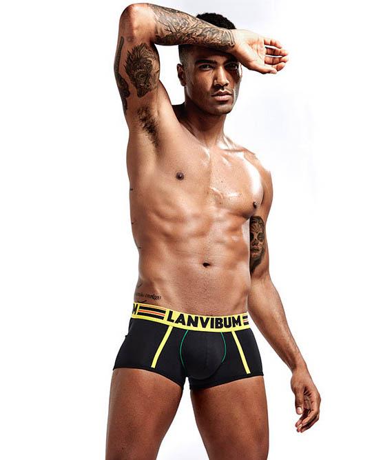 Трусы Lanvibum L Черный (5531)