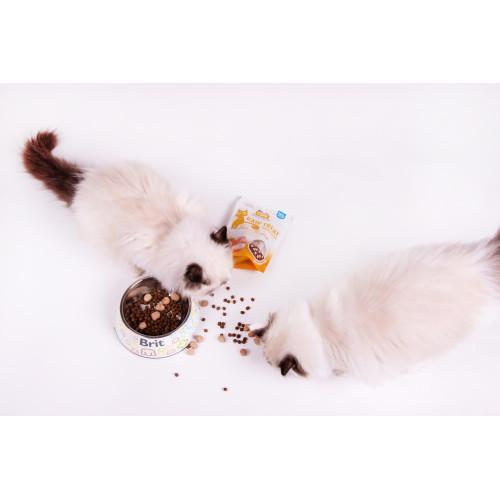 Ласощі для котів Brit Raw Treat Hair & Skin Freeze-dried з рибою та індичкою 40 г - фото 3 Ласощі для котів Brit Raw Treat Hair & Skin Freeze-dried з рибою та індичкою 40 г - фото 3