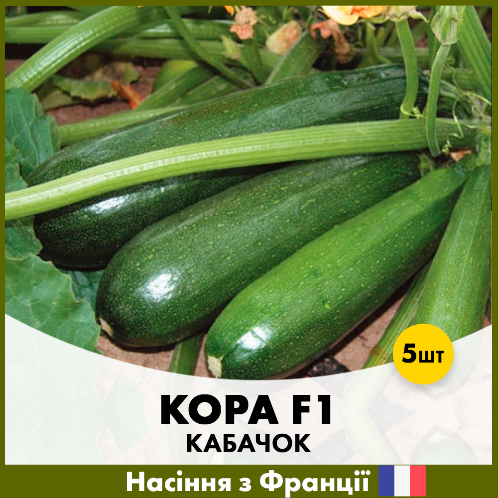 Семена кабачки Clause Кора F1 5 шт. (R30332)