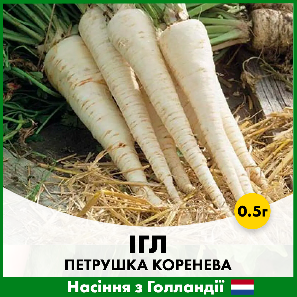 Насіння петрушки коренева Ігл 0,5 г Bejo (00139)