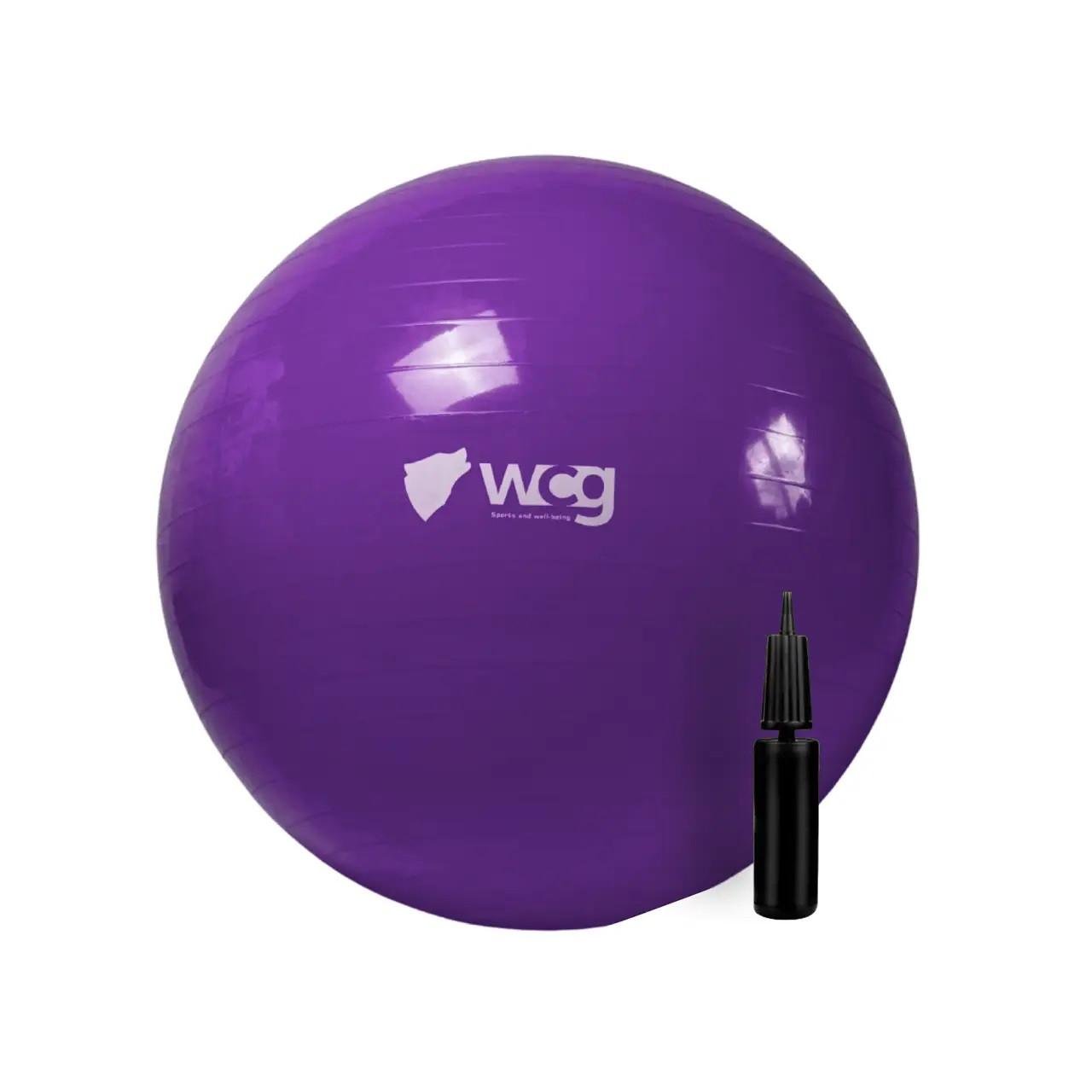 Фитбол WCG Anti-Burst с насосом 65 см 300 кг Фиолетовый (W-000-65-P-1) - фото 1