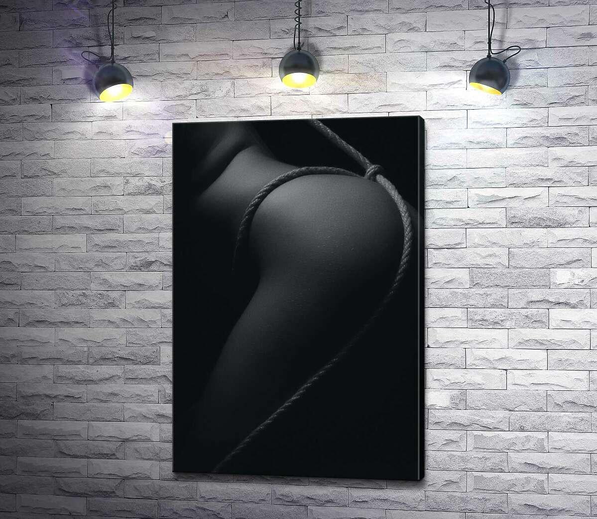 Картина ArtPoster Шелковистый силуэт женской ноги в обрамлении веревки 87x130 см Модуль №1 (001416)