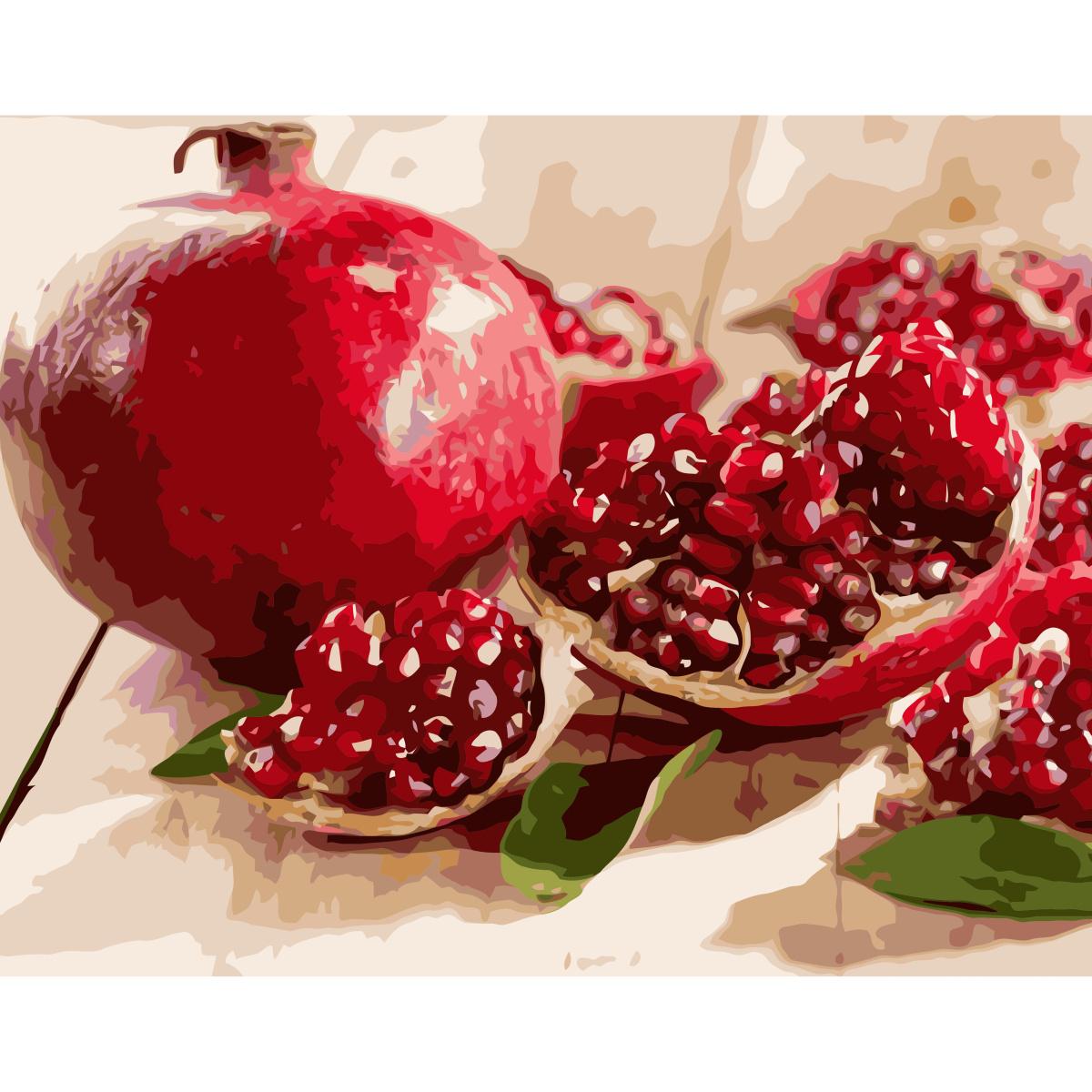 Картина по номерам Strateg Гранат 40x50 см (VA-0540)