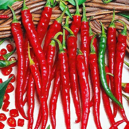 Семена Перець Florium гострий Рокита (12245)