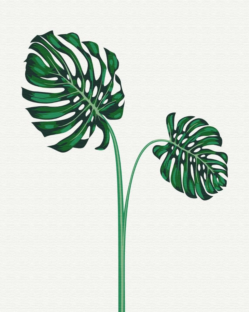 Картина по номерам Brushme Тропики №3 40x50 см (BS53669)