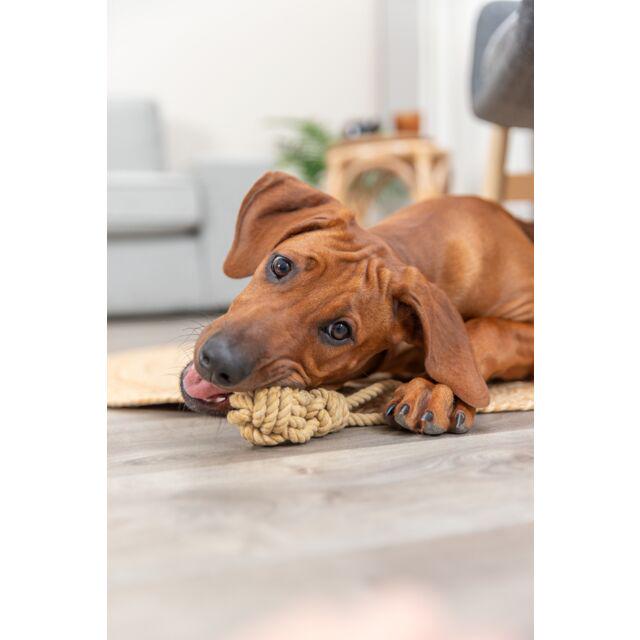 Игрушка Trixie плетеная BE NORDIC для собак 7х20 см (TX-32632) - фото 4 Игрушка Trixie плетеная BE NORDIC для собак 7х20 см (TX-32632) - фото 4