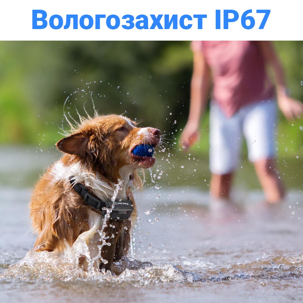 Электроошейник iPets PET619-2 на два ошейника водонепроницаемый перезаряжаемый Синий - фото 9 Электроошейник iPets PET619-2 на два ошейника водонепроницаемый перезаряжаемый Синий - фото 9