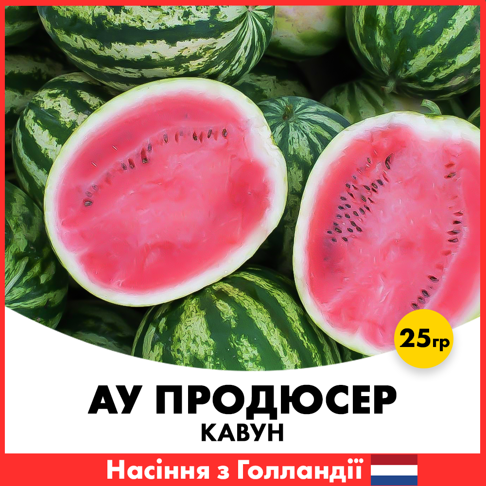 Семена арбуза Hazera АУ Продюсер 25 г (jkl1-25g)