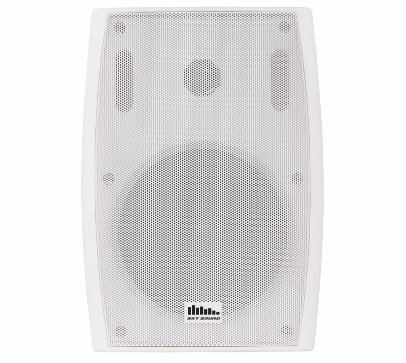 Настенная акустика Sky Sound LS-45W/TW