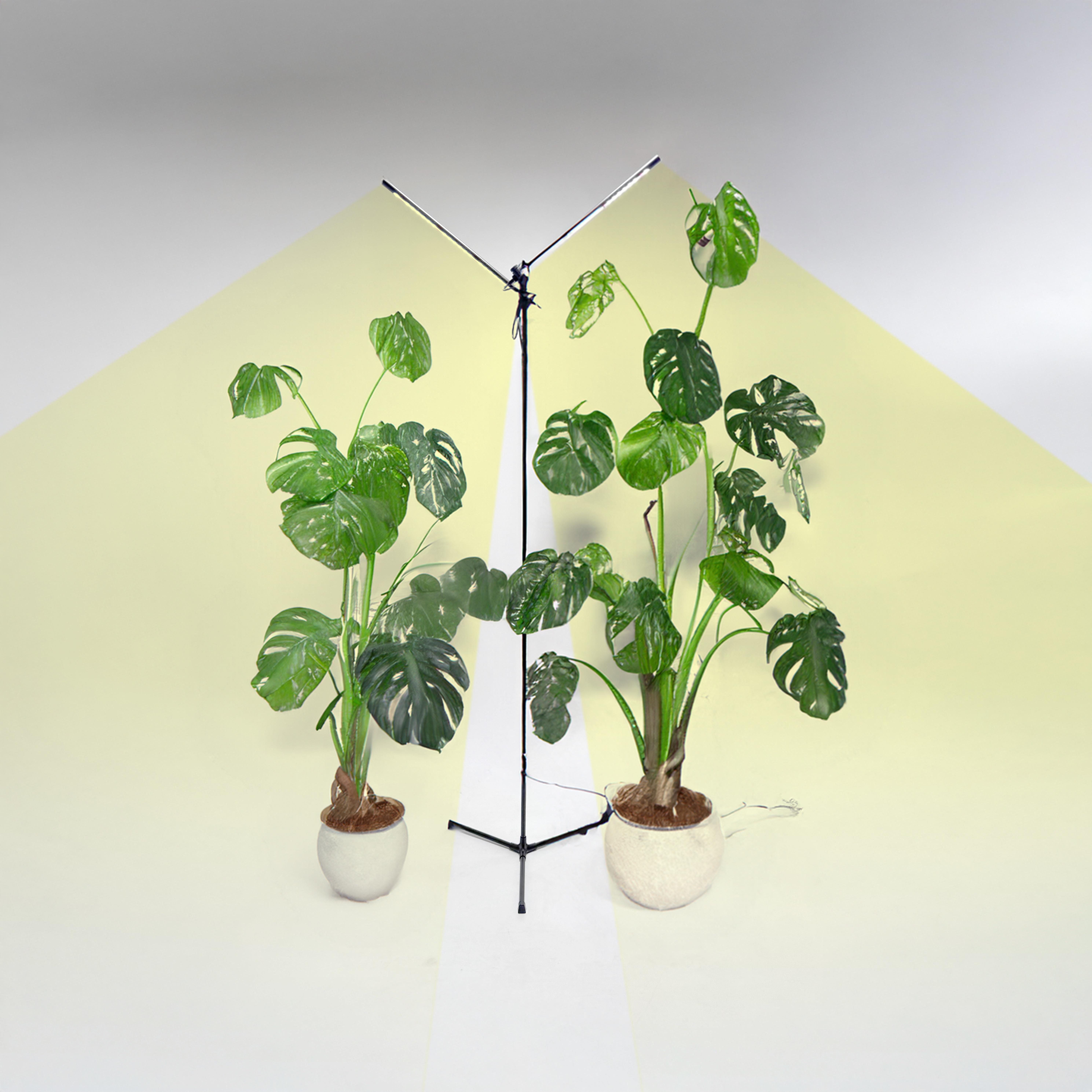 Фітосвітильник із двома лампами повного спектру IO-2 Long для високих до 2 м рослин (27834427) - фото 3