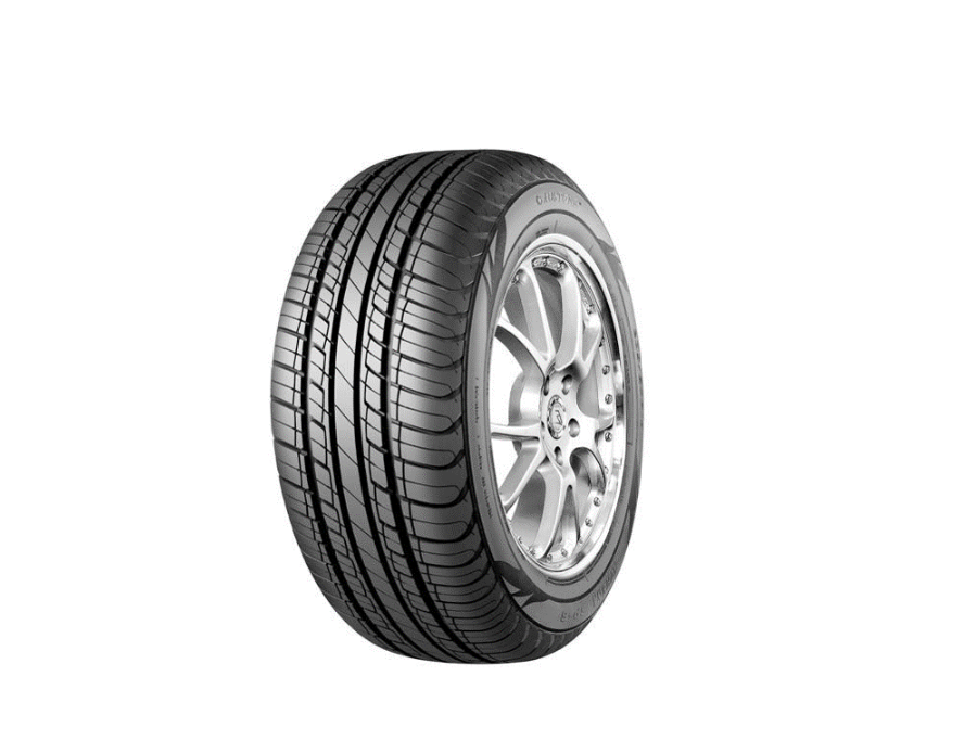 Автошини Austone SP6 215/65 R15 100H XL