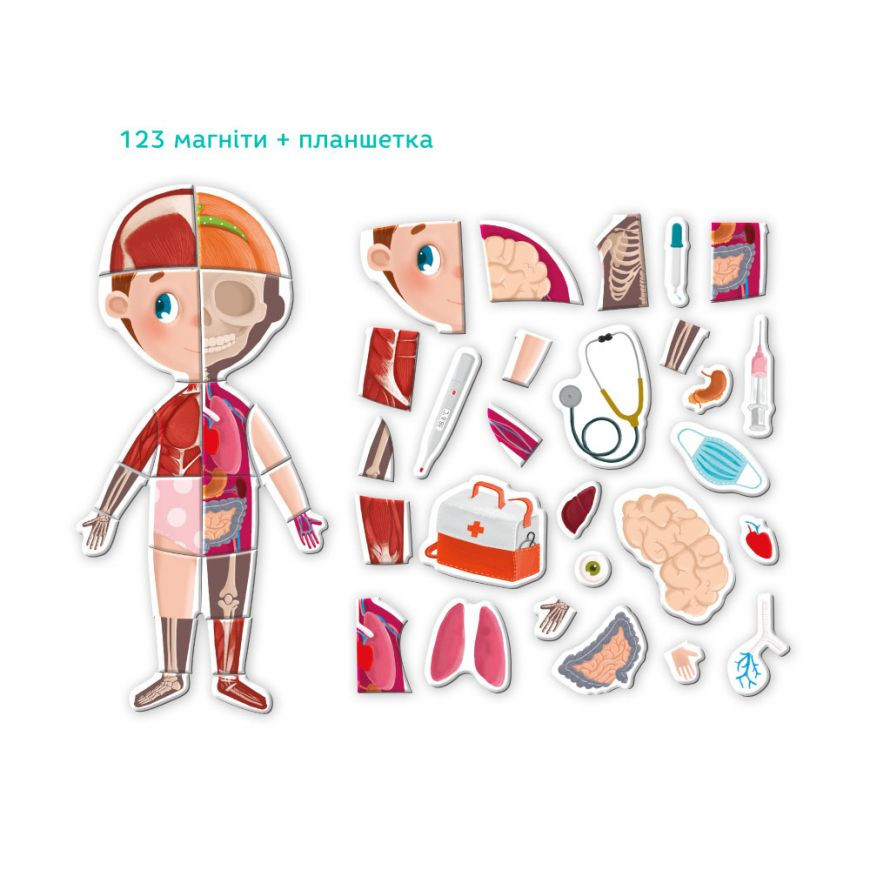 Настільна гра DoDo Toys Людське тіло Різнокольоровий (SR-113-N-404) - фото 2 Настільна гра DoDo Toys Людське тіло Різнокольоровий (SR-113-N-404) - фото 2