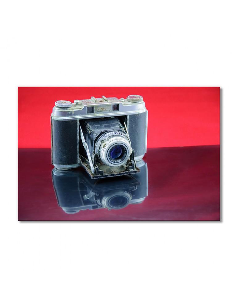 Картина модульная Ретро фотоаппарат 1 модуль 60x90 см