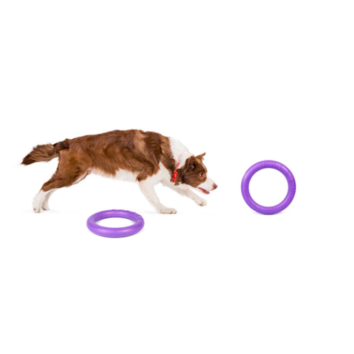 Тренувальний снаряд для собак PULLER Midi D 19,5 см (25881225) - фото 3 Тренувальний снаряд для собак PULLER Midi D 19,5 см (25881225) - фото 3