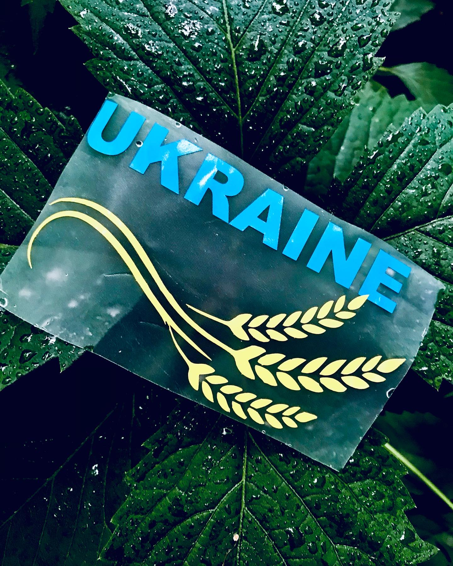 Наклейка патріотична "Ukraine" з колосками 15х9 см Синьо-жовтий - фото 2