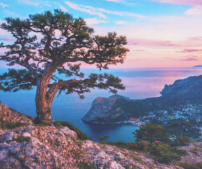 Картина за номерами TK Group 33424 30 Вид зі скелі 40х30 см (121697)