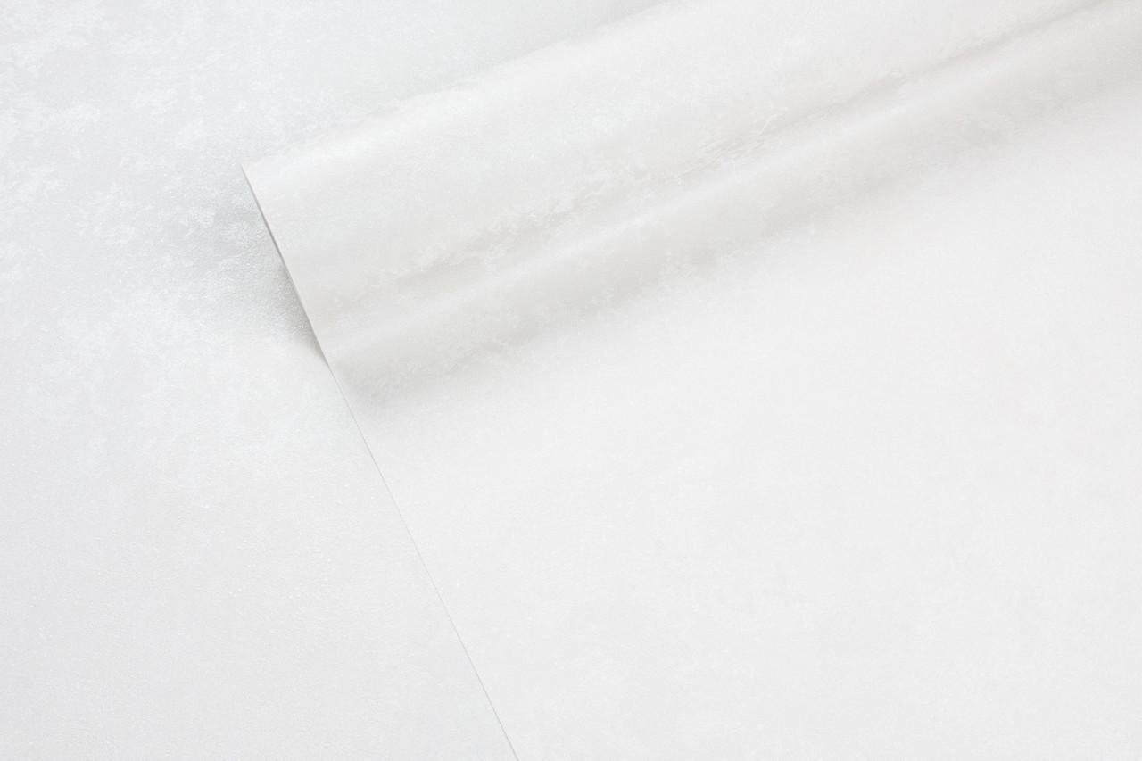 Обои флизелиновые LS Vinil Cascad ЭШТ 1-1663 Фон винил горячего тиснения 1,06х10,05 м