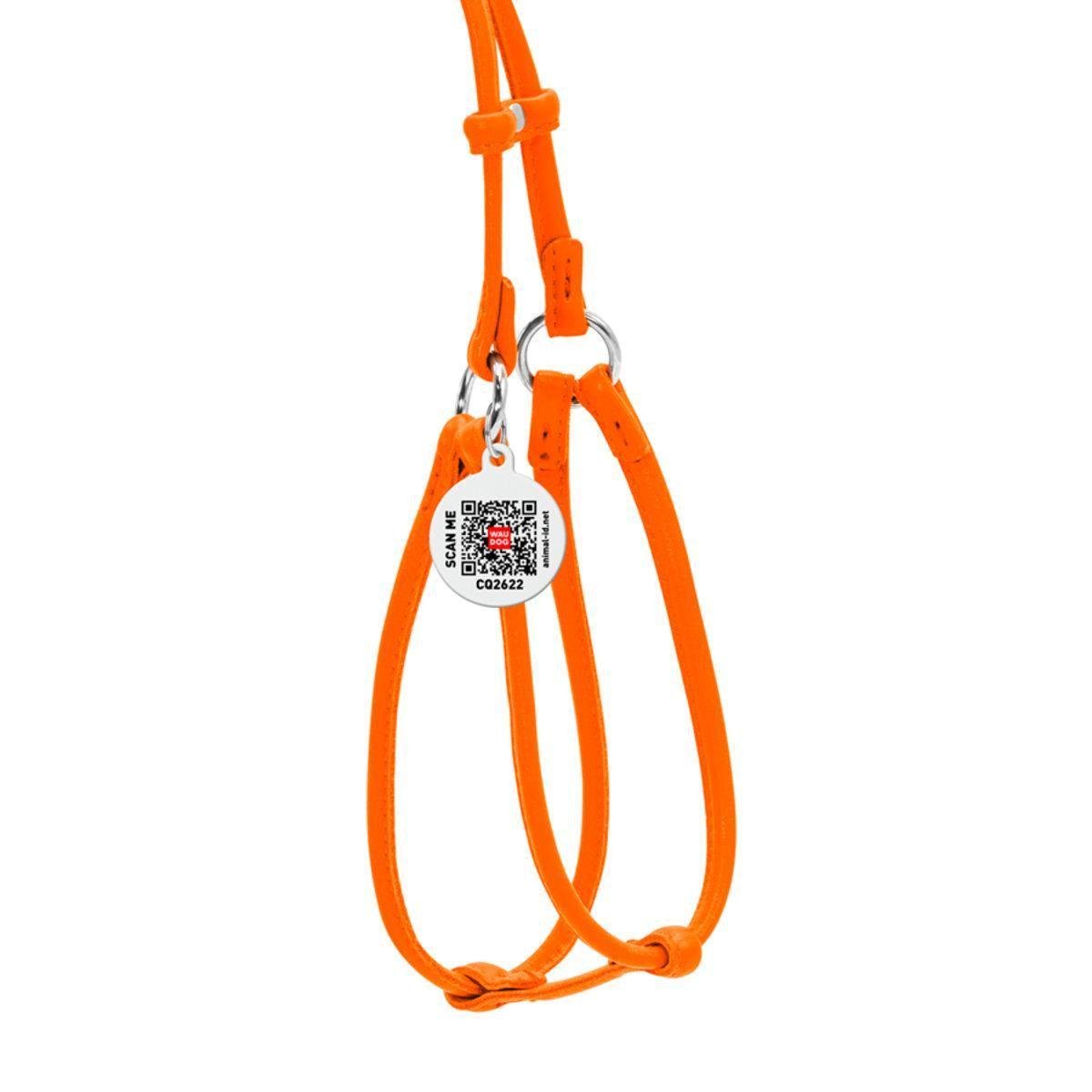 Шлея з повідцем для собак Waudog Glamour з QR паспортом/кругла/шкіряна 6 мм х 42-60 см х 46-64 см Помаранчевий (34024 Col)