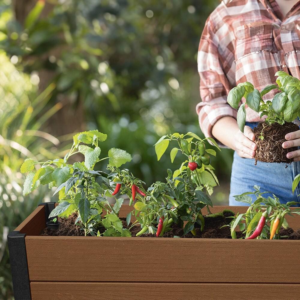 Горшок цветочный Keter Donica Elevated Garden Bed Pro Коричневый (255161) - фото 5 Горшок цветочный Keter Donica Elevated Garden Bed Pro Коричневый (255161) - фото 5