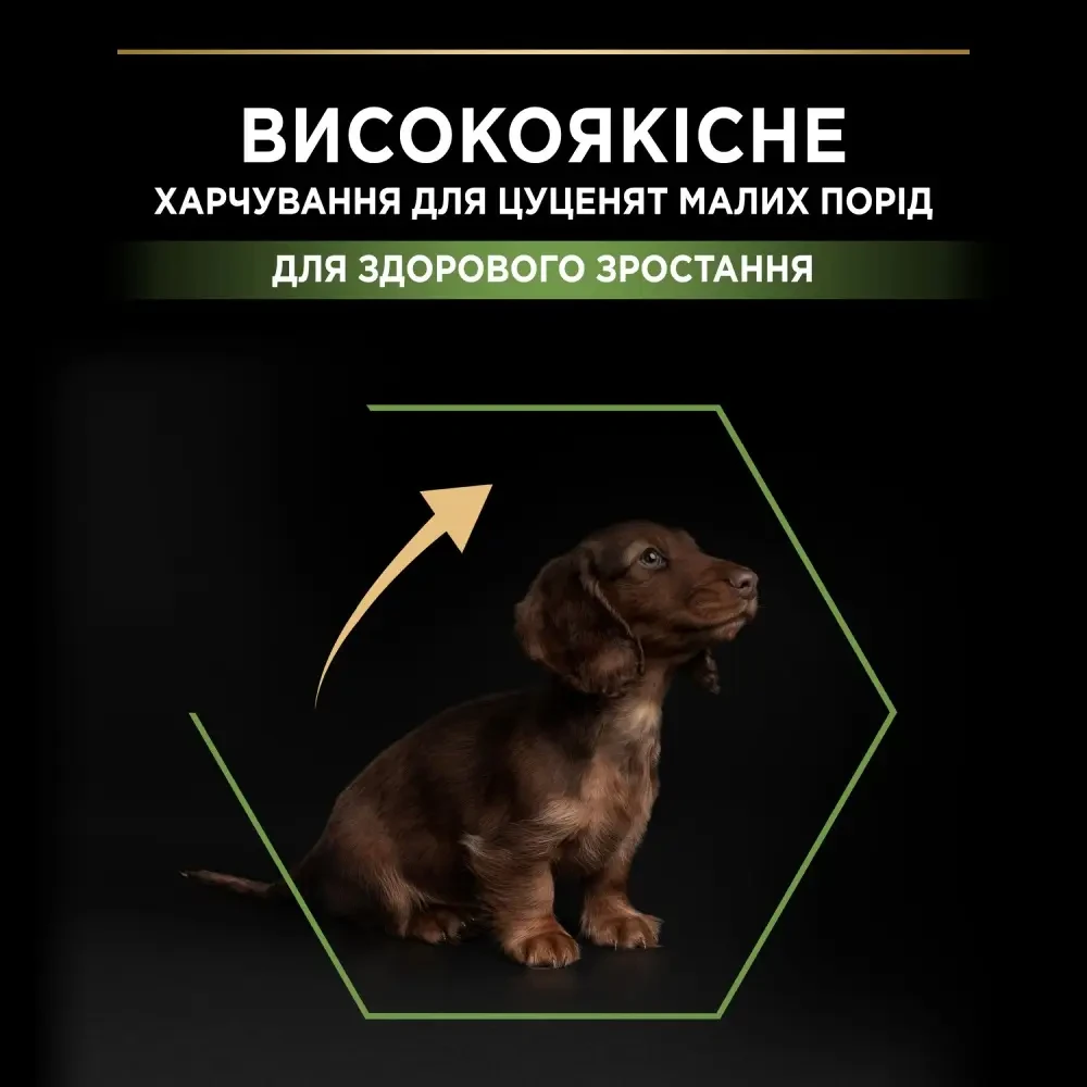 Сухой корм для щенков и молодых собак Pro Plan Puppy Small & Mini 3 кг курица - фото 4 Сухой корм для щенков и молодых собак Pro Plan Puppy Small & Mini 3 кг курица - фото 4