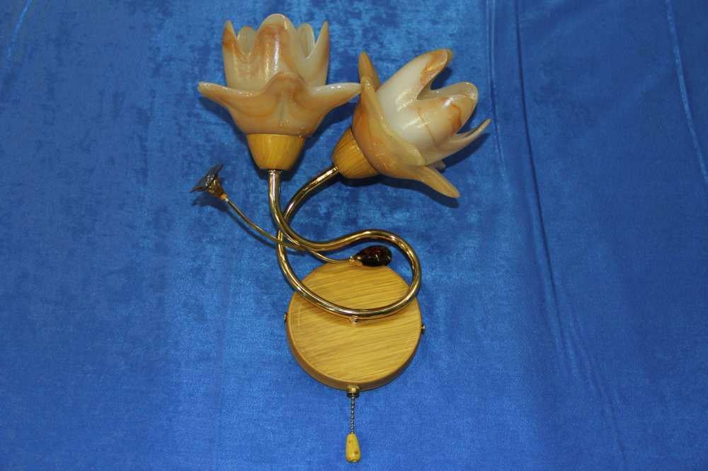 Бра с плафонами Ray B04746/2 FGD (IR004994)