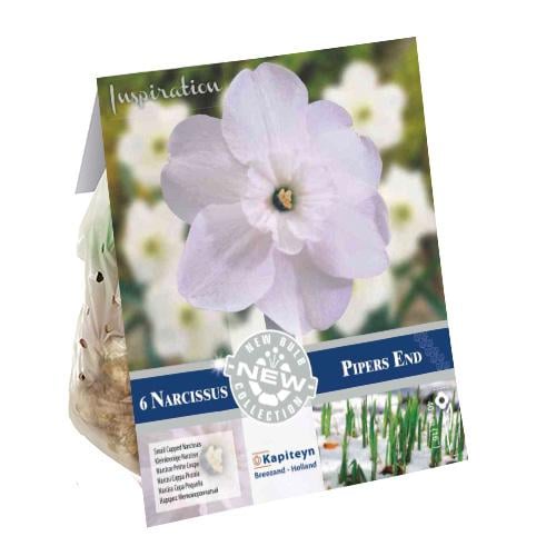 Нарцис Florium Pipers End брендові цибулини Kapiteyn (18202)