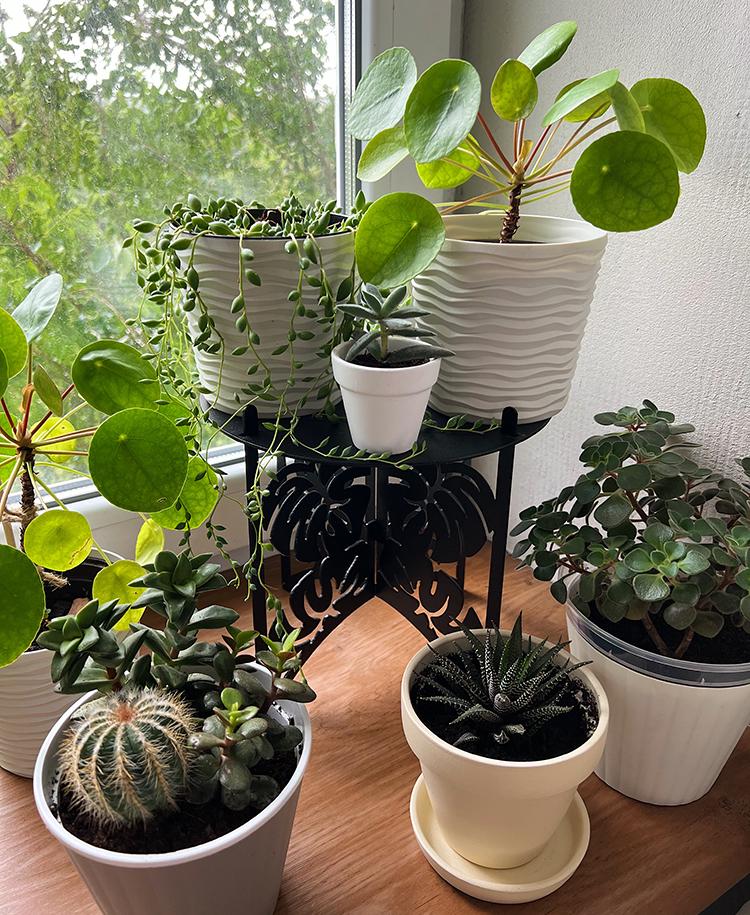 Подставка металлическая для цветов-вазонов NC Home Plant Черный (110396) - фото 3