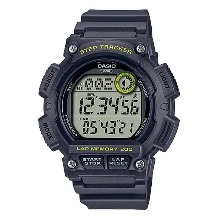 Часы мужские Casio WS-2100H-8A