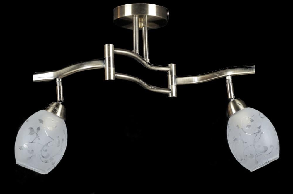 Люстра с плафонами Ray L830969/2 AB (IR005672)