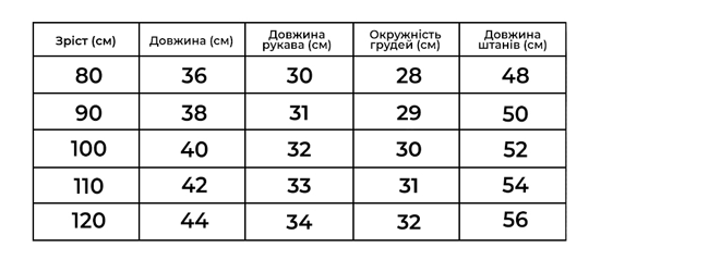 Костюм детский теплый Bear cub XXL 120 см Темно-серый (b5724930) - фото 6