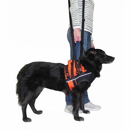 Поддержка передняя Frakishtak для животных XS Красный/Черный (28448934) - фото 3 Поддержка передняя Frakishtak для животных XS Красный/Черный (28448934) - фото 3