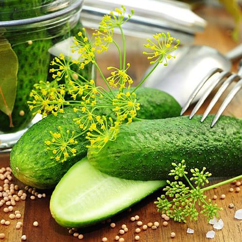 Насіння Огірок Florium Буян F1 (17039)