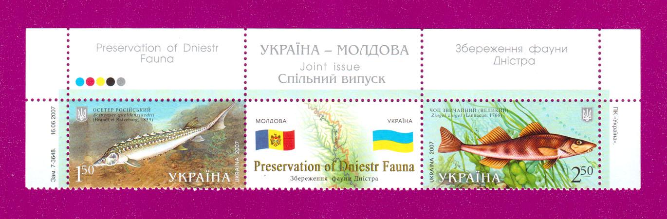 Почтовые марки Украины 2007 года верх листа Украина-Молдова Сохранение фауны Днестра (200750007) Почтовые марки Украины 2007 года верх листа Украина-Молдова Сохранение фауны Днестра (200750007)
