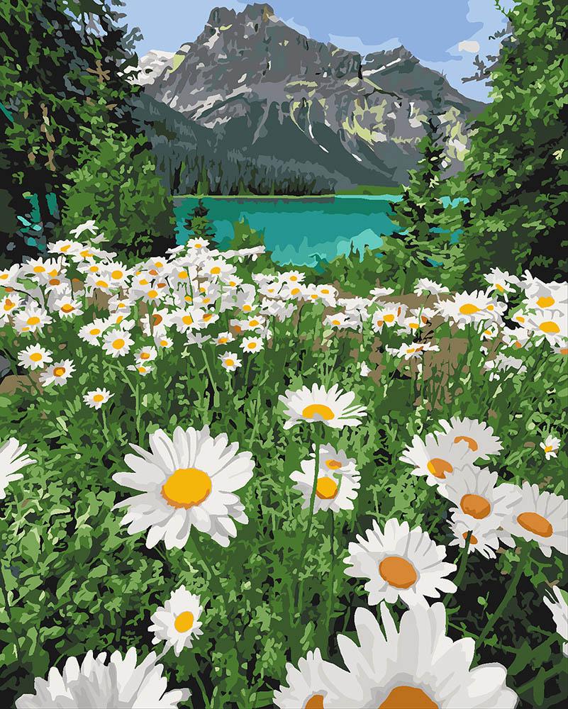 Картина по номерам Идейка "Красота природы" 40х50 см (KH2819)