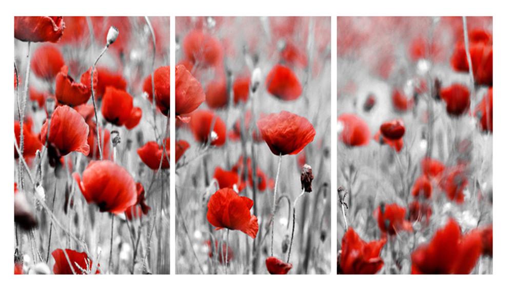 Модульная картина Декор Карпаты Маки 100х53 см (M3-t43)