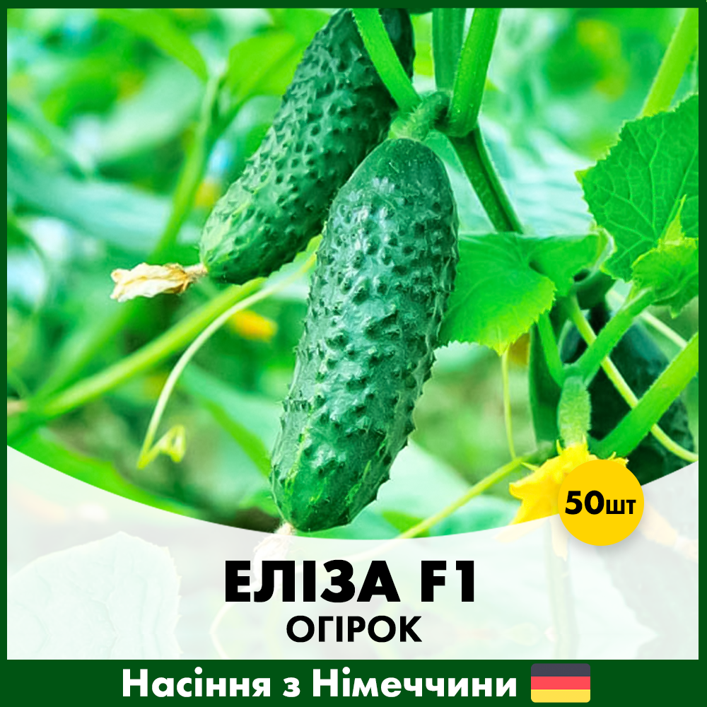 Семена огурца Satimex Элиза F1 50 шт. (R50200)