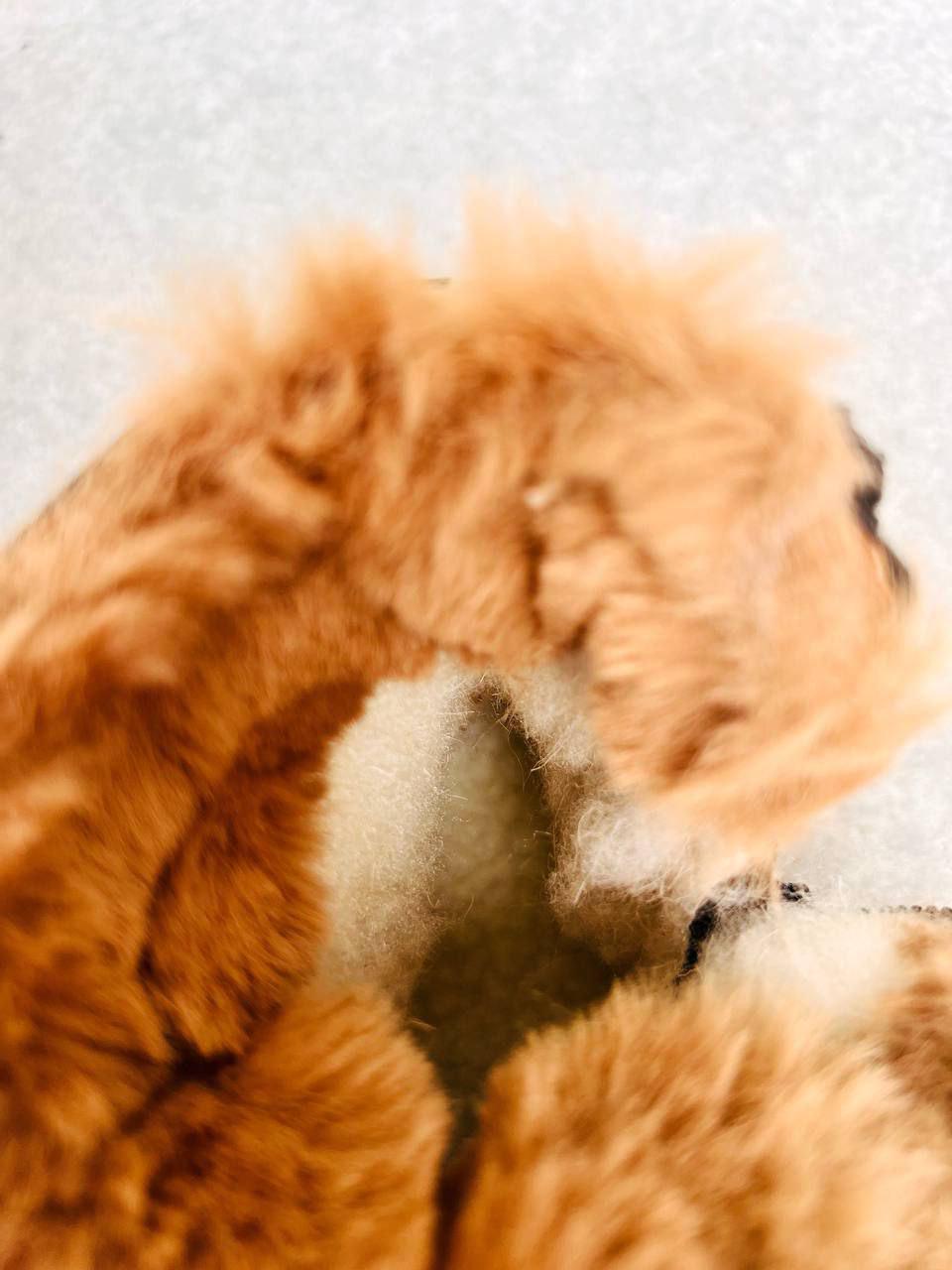 Сапоги для девочки зимние Clibee 1886 р. 23 15 см Черный (1886) - фото 4