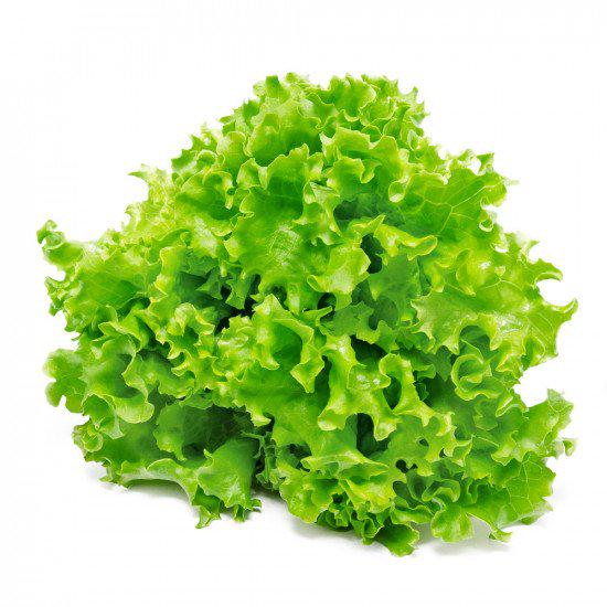 Насіння Салат Лолло Біонда ТМ Агроном 1 г ТД Гекса-Україна 01-26-046 (IR01461)