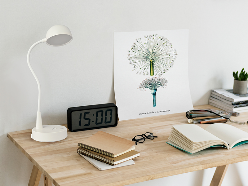 Настольная лампа аккумуляторная Titanum TLTF-012W 7W 5V 3000-6000K (9308) - фото 6 Настольная лампа аккумуляторная Titanum TLTF-012W 7W 5V 3000-6000K (9308) - фото 6