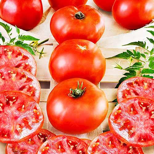 Семена Томат Florium Король Ринку (17167)