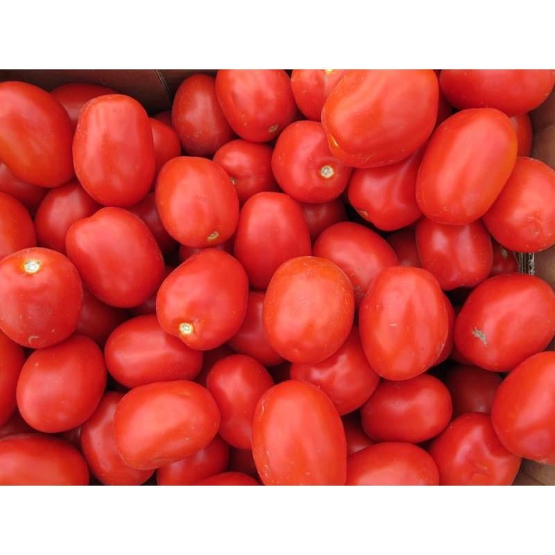 Насіння Томат Детермінантний Nunhems ADVANCE F1 1 000 шт. (2292951203) Насіння Томат Детермінантний Nunhems ADVANCE F1 1 000 шт. (2292951203)