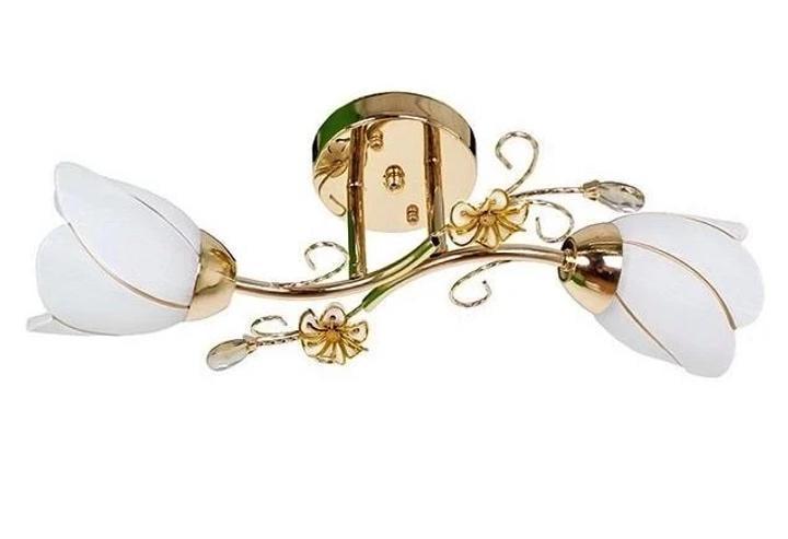 Люстра стельова Sirius на два скляні плафони Е27 IP20 B N0282/2 Золотий (28686477)