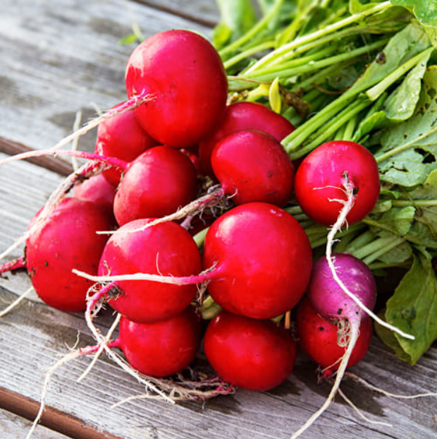 Семена Редис Рудольф ТД Гекса-Украина 01-23-035 50 г (IR02151)