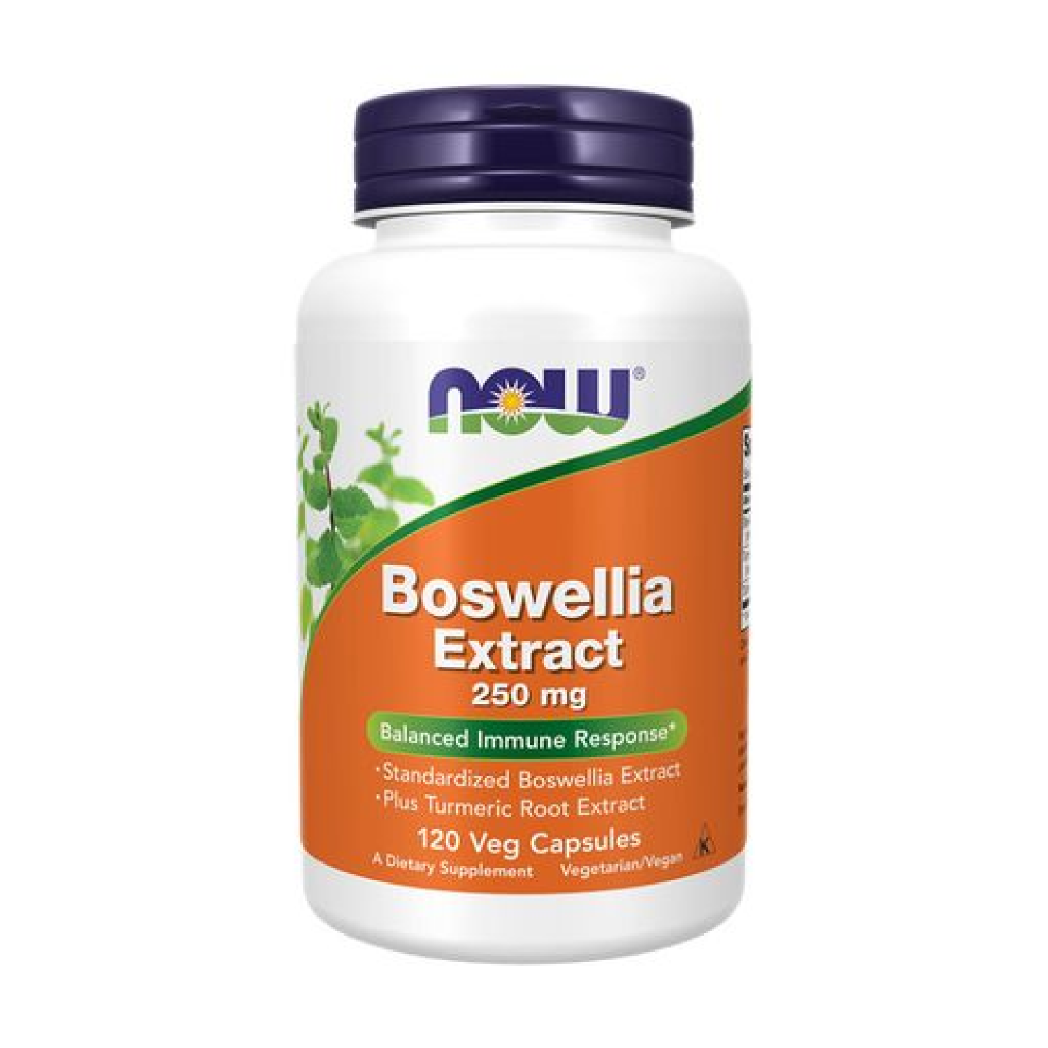 Дієтична добавка Now Foods Boswellia Extract Босвелії екстракт 250 мг 120 капс. (CO003431)