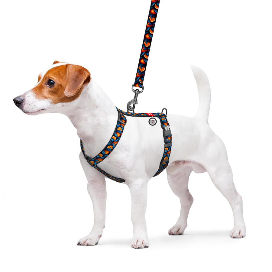 Шлейка для собак с QR-паспортом Waudog Nylon Апельсины анатомическая H-образная с пластиковым фастексом S 15 мм A 30-45 см/B 36-45 см Blue (343-4054) - фото 3 Шлейка для собак с QR-паспортом Waudog Nylon Апельсины анатомическая H-образная с пластиковым фастексом S 15 мм A 30-45 см/B 36-45 см Blue (343-4054) - фото 3