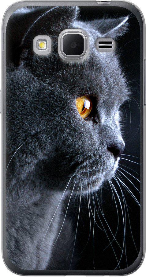 Чехол на Samsung Galaxy Core Prime G360H Красивый кот (3038u-76-42517)