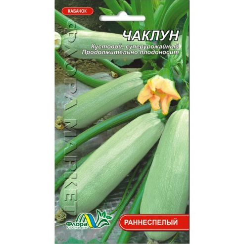 Семена кабачка Колдун раннеспелый кустовой 2 г (26658) Семена кабачка Колдун раннеспелый кустовой 2 г (26658)